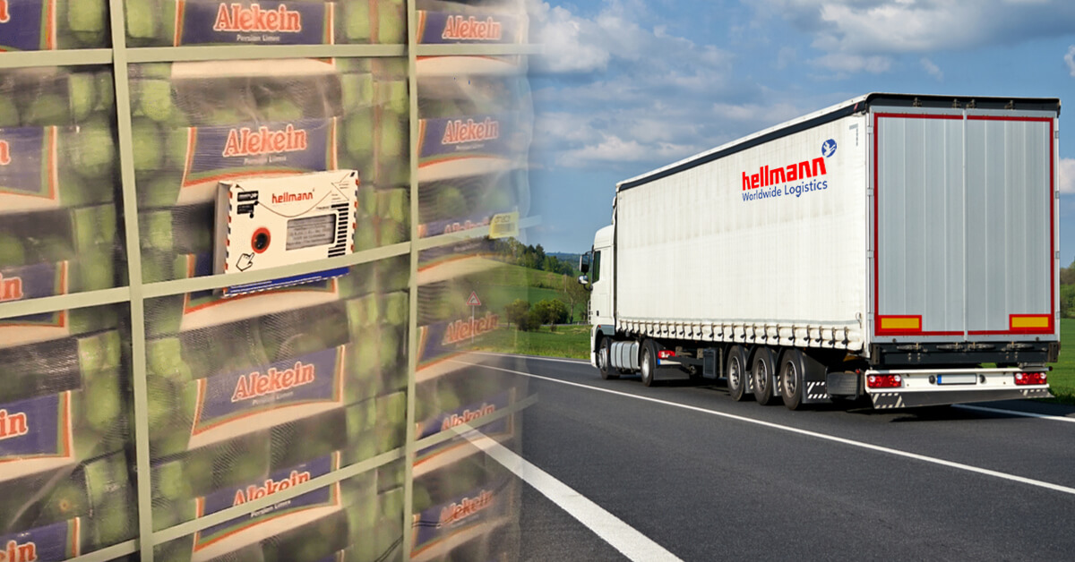 Video: Hellmann Worldwide Logistics & Hanhaa – Smart Visibility