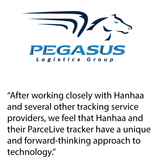 pegasus-quote