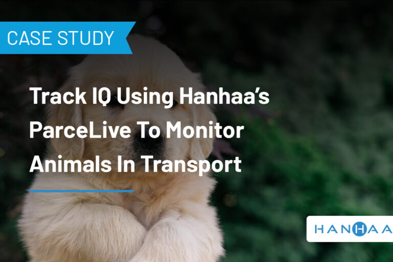 ParceLive case study Animal Shipment Tracking, Animals in Transit