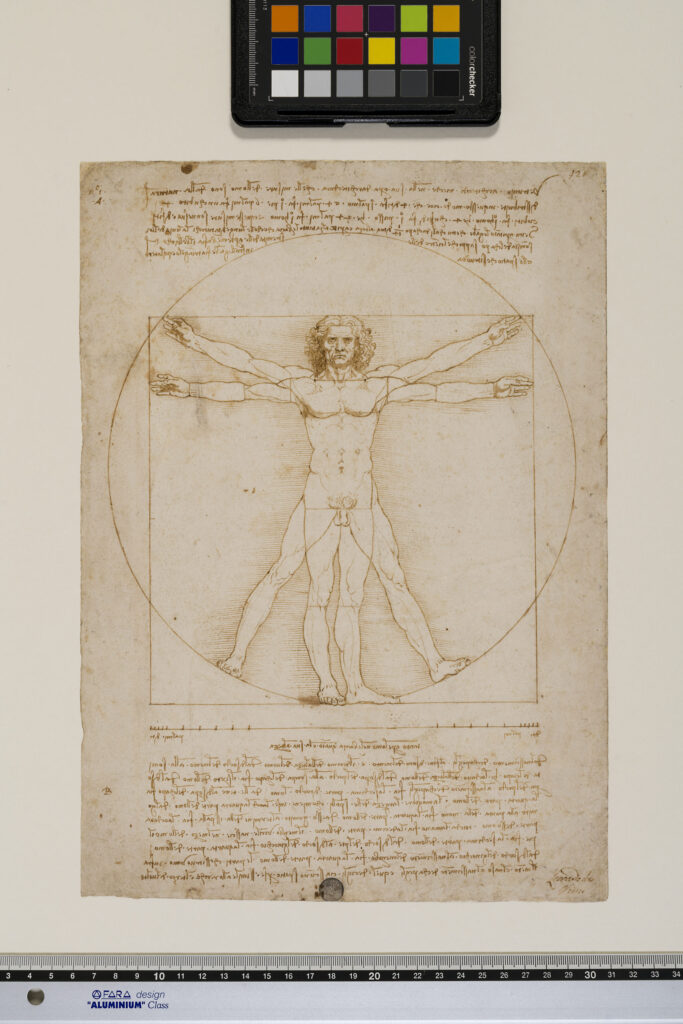 Vitruvian Man