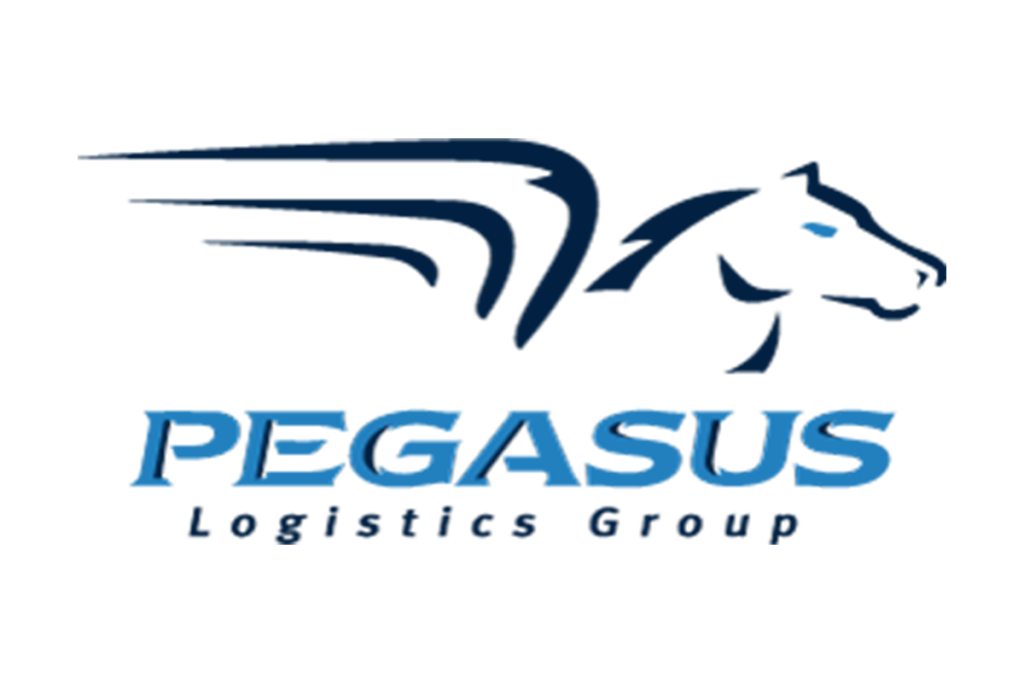 supply chain visibility partner